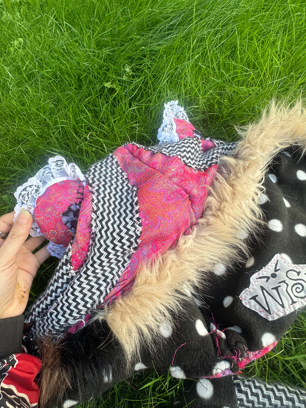 Dolly Hood