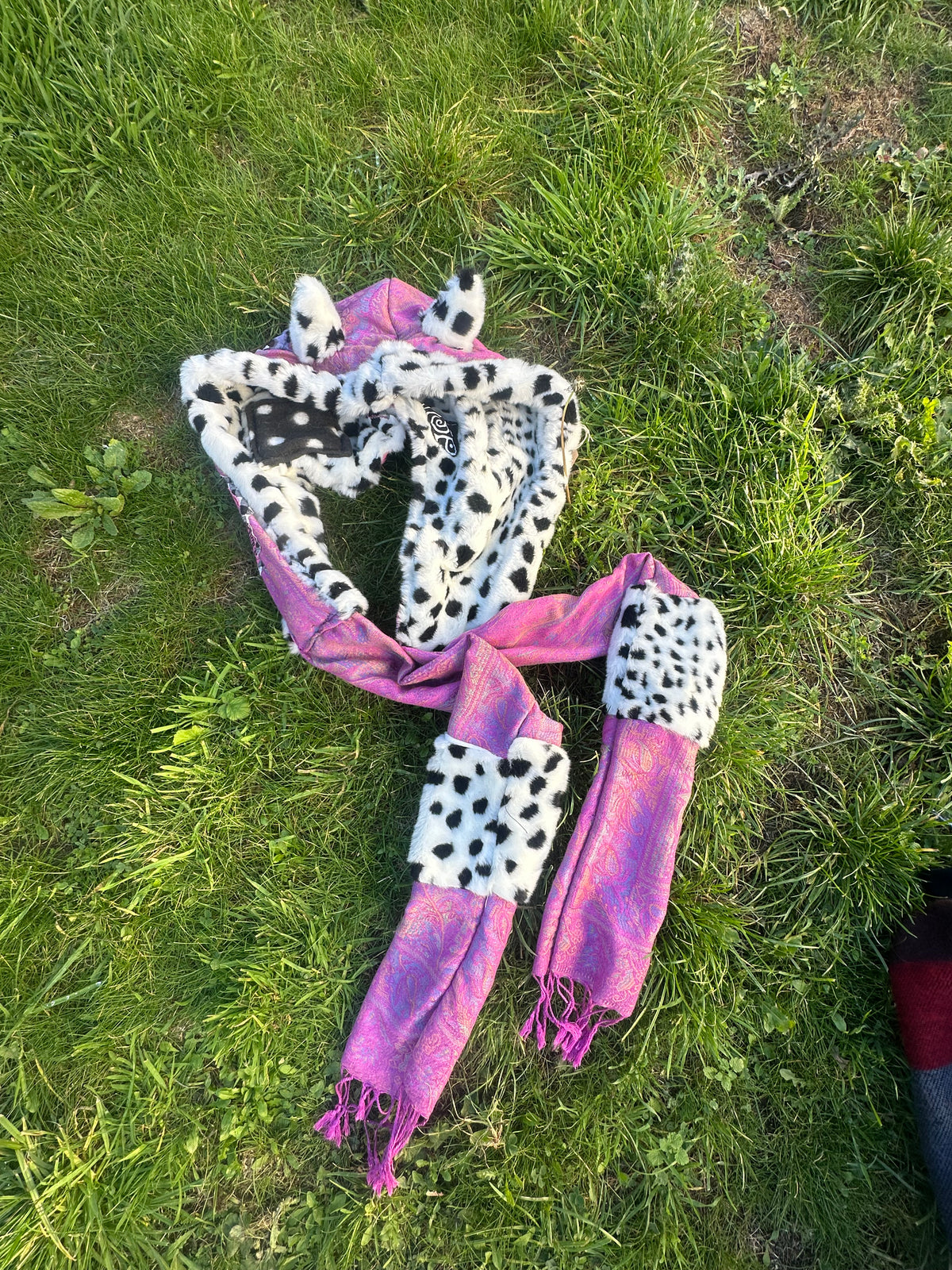 Dalmatian Hood