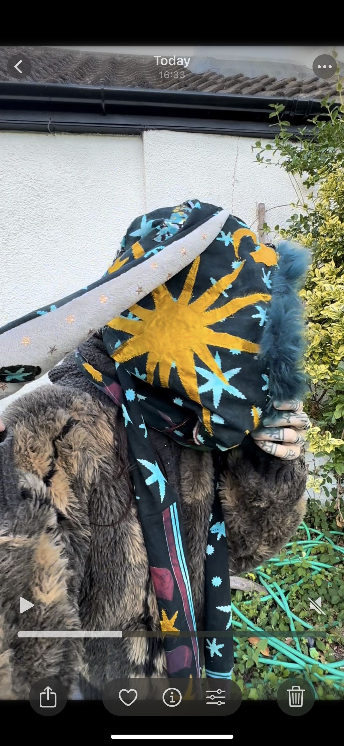 Bunny Dreamer Hood