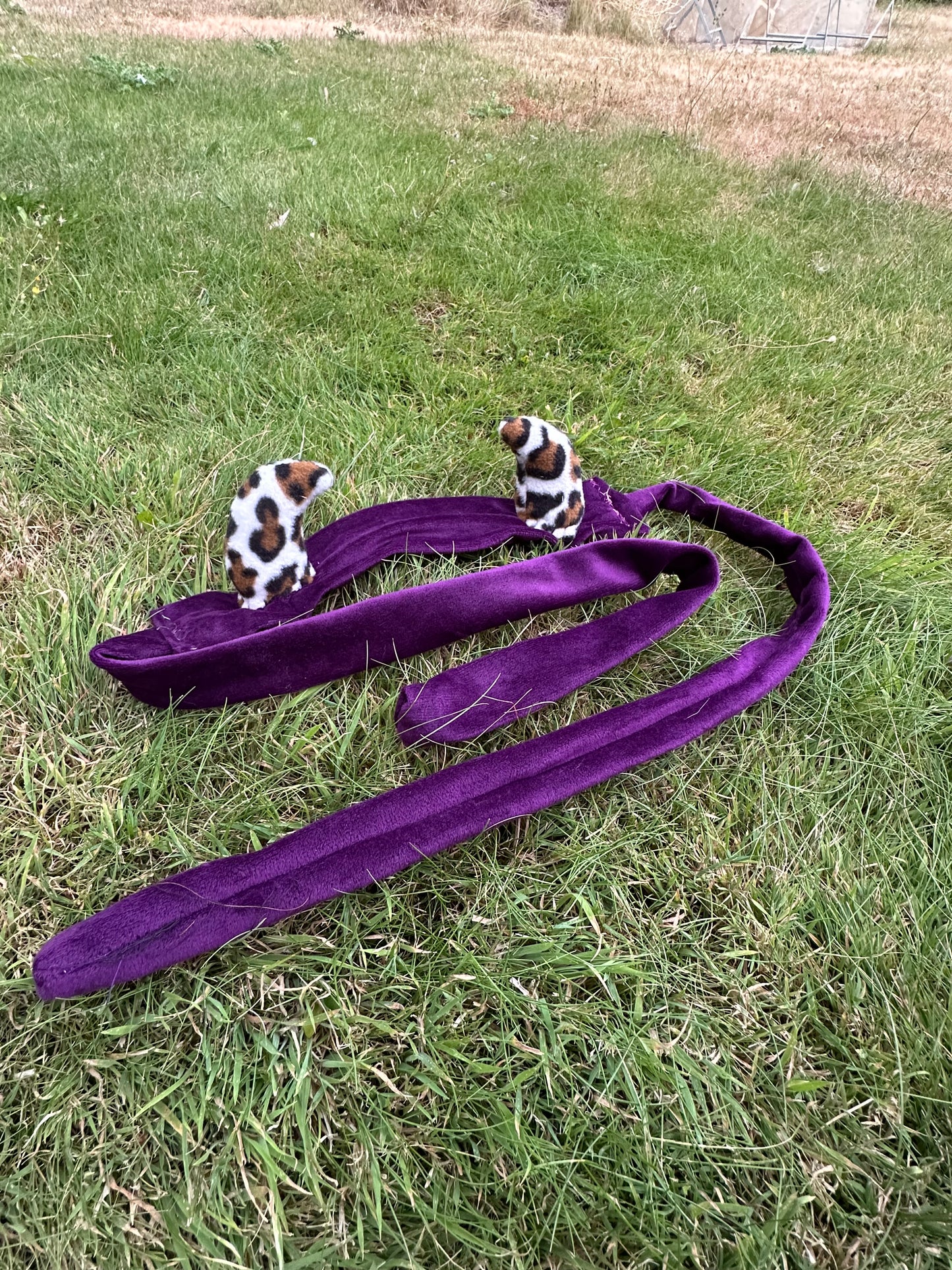 Purp leopard hornz
