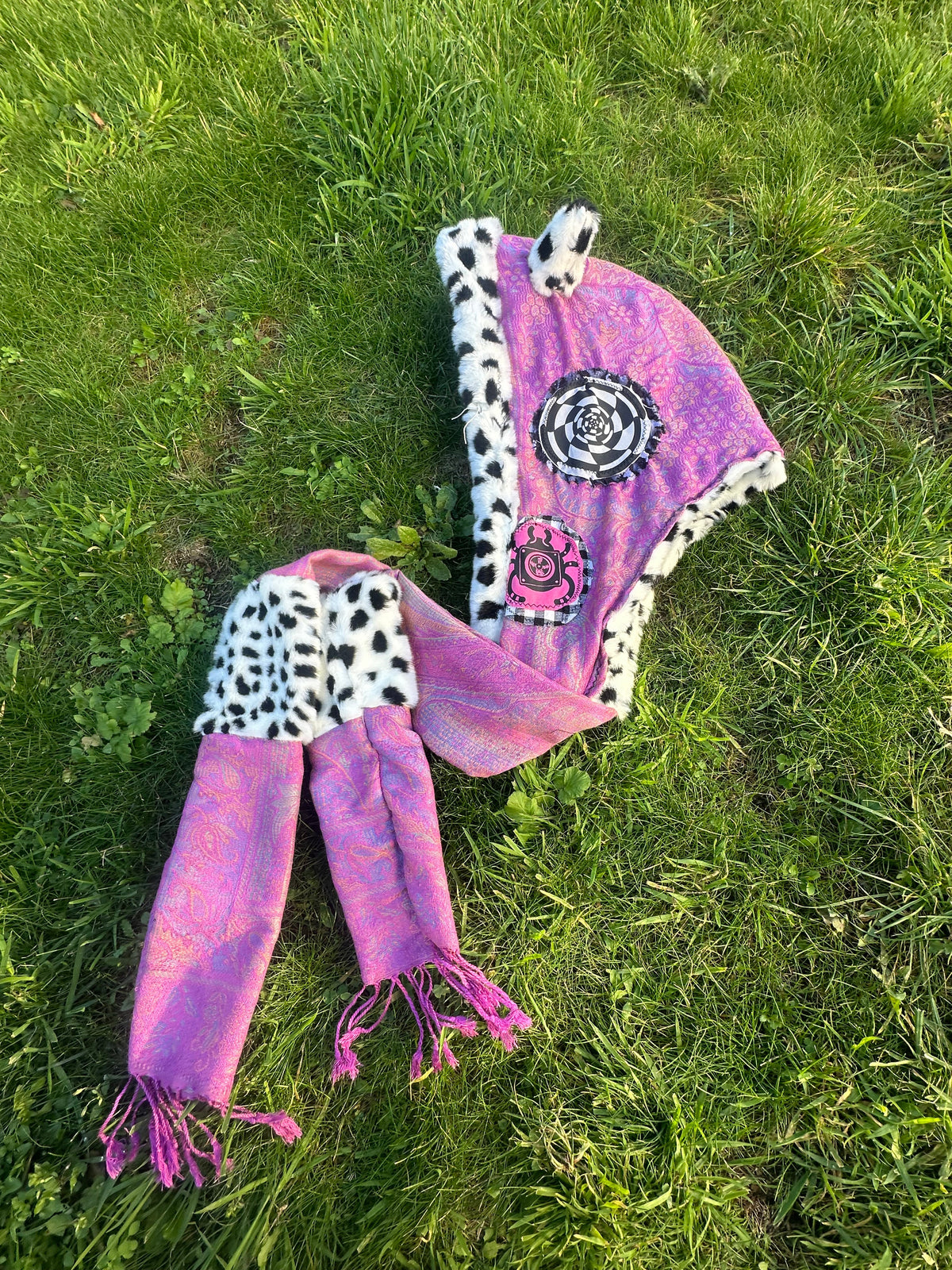 Dalmatian Hood