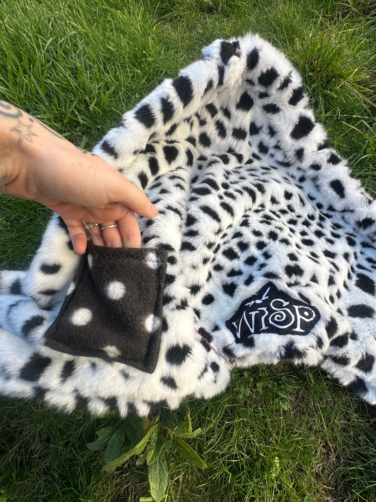 Dalmatian Hood