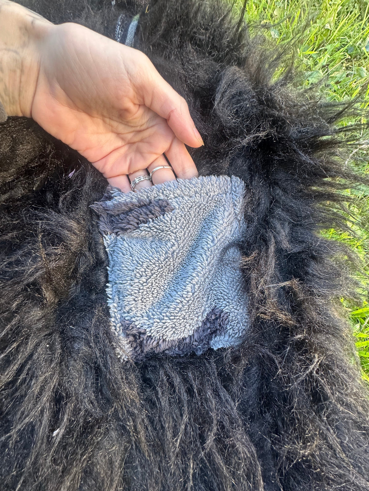 Mossy Hood