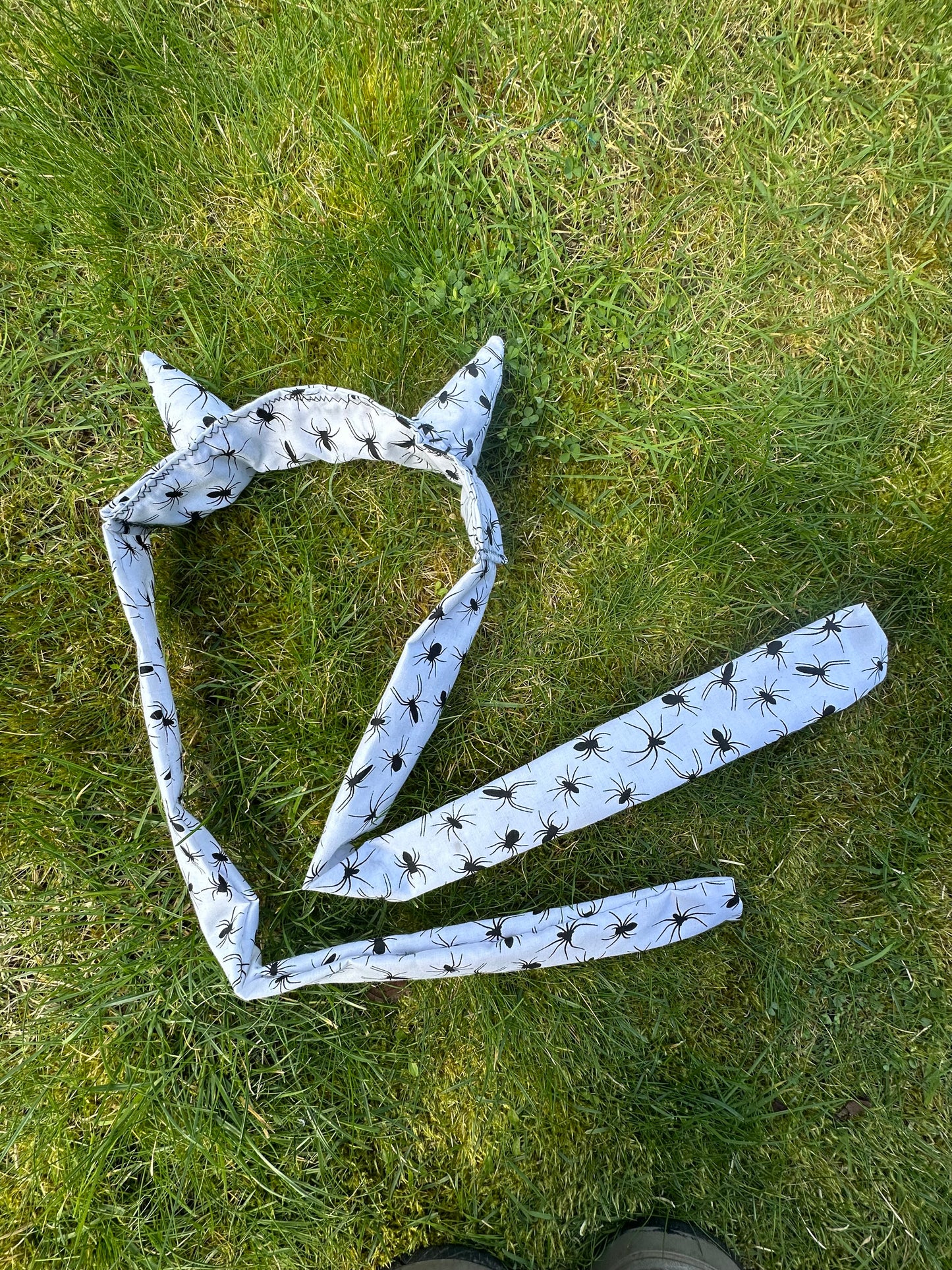 Arachnid tie on horns